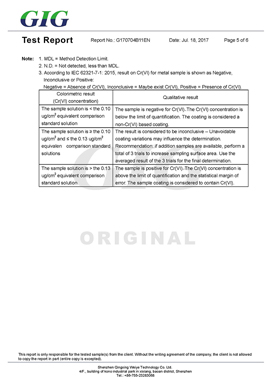 青興SGS報(bào)告五